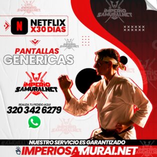 NETFLIX PANTALLA GENERICA      (sirven en cualquier pais)