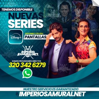 DISNEY ESTANDAR PANTALLA